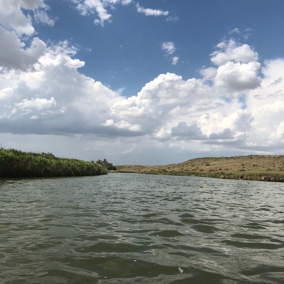 Meet your Posher, Jacqueline - Picture 1 of 1